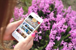 探索世界無(wú)限精彩——免費(fèi)旅游App Mook玩世界